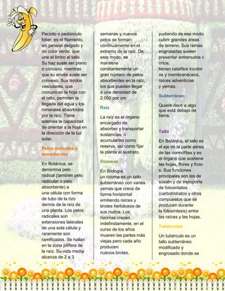 Diccionario botánico 