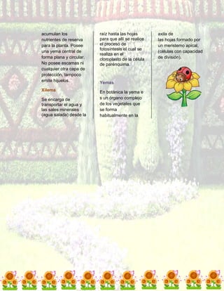 Diccionario botánico 