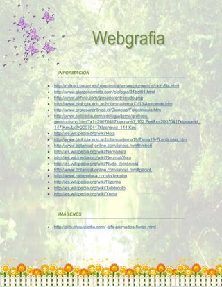 Diccionario botánico 