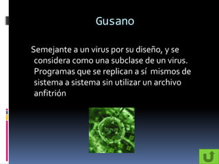 Gusano

Semejante a un virus por su diseño, y se
 considera como una subclase de un virus.
 Programas que se replican a sí mismos de
 sistema a sistema sin utilizar un archivo
 anfitrión
 