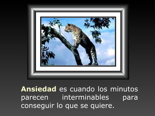 Ansiedad   es cuando los minutos parecen interminables para conseguir lo que se quiere. 