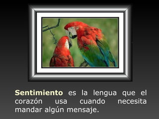 Sentimiento   es la lengua que el corazón usa cuando necesita mandar algún mensaje. 