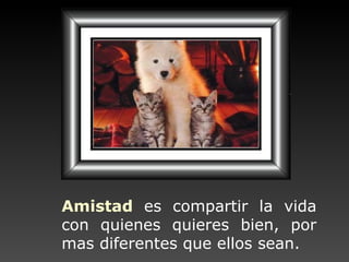 Amistad   es compartir la vida con quienes quieres bien, por mas diferentes que ellos sean.  