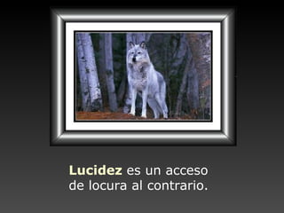 Lucidez   es un acceso  de locura al contrario. 
