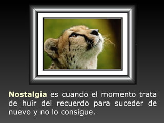 Nostalgia   es cuando el momento   trata de huir del recuerdo   para suceder de nuevo y no lo consigue. 