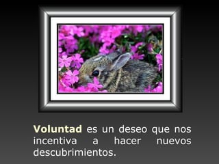 Voluntad   es un deseo que nos incentiva a hacer nuevos descubrimientos . 