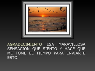 AGRADECIMIENTO  ESA MARAVILLOSA SENSACION QUE SIENTO Y HACE QUE ME TOME EL TIEMPO PARA ENVIARTE ESTO. 