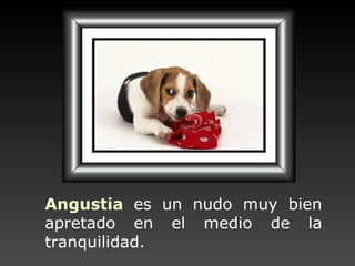 Angustia   es un nudo muy bien apretado en el medio de la tranquilidad. 