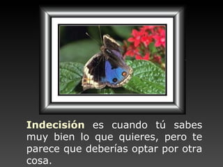 Indecisión   es cuando   tú sabes muy bien lo que quieres,  pero te parece  que deberías optar  por  otra cosa.  