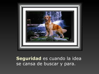 Seguridad   es cuando la idea se cansa de buscar y para. 