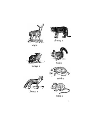 1111
xaá a
tucuya a
xtaj a
xtuu a
chunee a
necó a
chuvaâ a
 