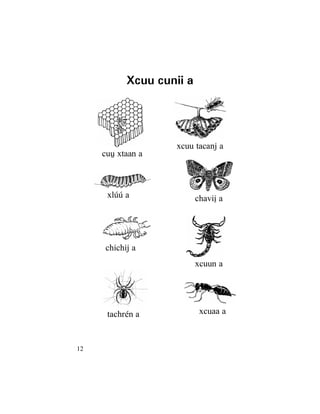 12
xcuaa a
Xcuu cunii a
xlúú a
chichij a
cuû xtaan a
xcuu tacanj a
xcuun a
chaviî a
tachrén a
 