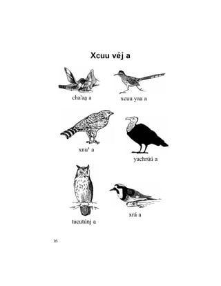 16
Xcuu véj a
yachrúú a
xnuß a
tucutúnj a
xrá a
cha'aâ a xcuu yaa a
 