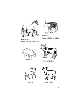 99
xcáá a
matzinj a
scúj chânâ a
burro a,
xcuu xréé nûj xeé a
cuayó a,
xcuu tacanj caxrâß a
tana a
 