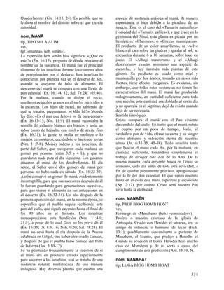 Diccionario diblico (www.avanza pormas.com)