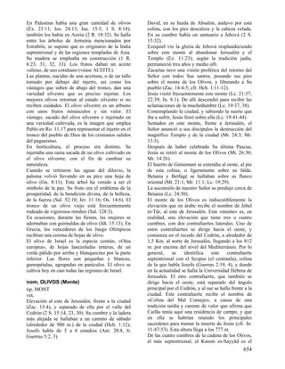 Diccionario diblico (www.avanza pormas.com)