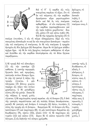διὰ τί δ᾿     ἡ καρδία εἰς τοὺς       βρόγχιον, τὸ
                                πνευμόνας παράγει τὸ αἷμα ; ὅτι τὸ    εἰσπνεῖν
                                ἐκ τοῦ σώματος εἰς τὴν καρδίαν        ἐκπνεῖν
                                ἀφικόμενον αἷμα μεμολυμμένον          λοβός, ὁ
                                ἐστὶν καὶ δεῖ ἐν τοῖς πνεύμασι        πνεῦμα, τὸ
                                καθαρθῆναι. οἱ οὖν πνεύμονες (1)      πνεύμων ονος, ὁ
                                τὴν καρδίαν περιλαμβάνουσιν καὶ
                                εἰς τρεῖς λοβοὺς χωρίζονται· ἄνω
                                (2), μέσον (3) καὶ κάτω λοβόν (4).
                                διὰ δὲ τῆς τραχείας ἀρτηρίας (5) τὸ
πνεῦμα (τουτέστι, ὁ εἰς τὸ σῶμα εἰσερχόμενος ἀήρ) εἰς τοὺς
πνευμόνας εἰσπνέομέν τε καὶ ἐκ τῶν πνευμόνων ἐκπνέομεν · ταμεῖον
γὰρ τοῦ πνεύματος οἱ πνεύμονες. ἐν δὲ τοῖς πνεύμασι ἡ τραχεῖα
ἀρτηρία εἰς δύο βρόγχια (6) διαιρεῖται. ἄκρα δε τὰ βρόγχια κλάδου
σχῆμα ἔχει. τῷ δὲ ἐν τοῖς βροχίοις πνεύματι καθαίρεται τὸ αἷμα
καὶ ἐντεῦθεν εἰς τὴν καρδίαν ἐπιστρέφεται εἰς τὰ ἄλλα ὄργανα
παραξόμενον.


ἡ δὲ τροφῆ διὰ τοῦ εἰσογάφου                                          γαστήρ -τρός, ἡ
(1) εἰς τὴν γαστέρα (2)                                               δυοδέκατον, τὸ
καθίεται. ἡ γαστὴρ περιφερὲς                                          εἰλεός, ὁ
ὄργανόν ἐστι καὶ προμήκες,                                            εἰσόφαγος, ὁ
πεπτικὴν σιτίων δύναμιν ἔχον.                                         ἔντερον, τὸ
ἐν γὰρ τῇ γαστρὶ ἡ πέψις τῆς                                          κύστις -εως, ἡ
τροφῆς γίγνεται. ὁ μὲν                                                κῶλον, τὸ
πάγκρεας (3) ἄλλους χυμοὺς                                            κόπρος, ὁ
παρέχει εἰς πέψιν τῶν σιτίων                                          λεπτότερος
χρησίμους, ἡ δὲ χοληδόχος                                             νῆστις -ιος, ἡ
κύστις (4) τὴν χολήν. ἕνεκα δὲ                                        πάγκρεας, ὁ
τῆς πέψεως ἡ τροφὴ χυλὸς                                              παχύτερος
γίγνεται. ἡ δὲ κεχυλωμένη τροφὴ περαίνει εἰς τὸ ἔντερον (5), ὃ ἀπὸ    πέψις εως, ἡ
τῆς γαστρὸς περιελίττεται καὶ εἰς πολλὰς ἑλίκας ἐπικάμπτεται.         πρωκτός, ὁ
μεταξὺ δὲ γαστρὸς καὶ ἐντέρου ὁ πυλωρὸς (6) ἐστιν, τουτέστι, ἡ        πυλωρός, ὁ
πύλη τῆς τροφῆς εἰς τὸ ἔντερον. διαιροῦμεν δὲ τὸ ἔντερον εἰς δύο,     τυφλός
λεπτότερον (7) καὶ παχύτερον (8). τὸ μὲν λεπτότερον διαιρεῖται εἰς    χοληδόχος
δυωδέκατον (9), νῆστιν (10), εἰλεόν (11)· τὸ δὲ παχύτερον εἰς         χολή, ἡ
τυφλὸν (12) καὶ κῶλον (13). ἄκρον δὲ τὸ κῶλον πρωκτὸν (14)            χυλός, ὁ
λέγομεν, ᾧ εἰς ἐκβολὴν τοῦ κόπρου χρώμεθα.

                                          7
 