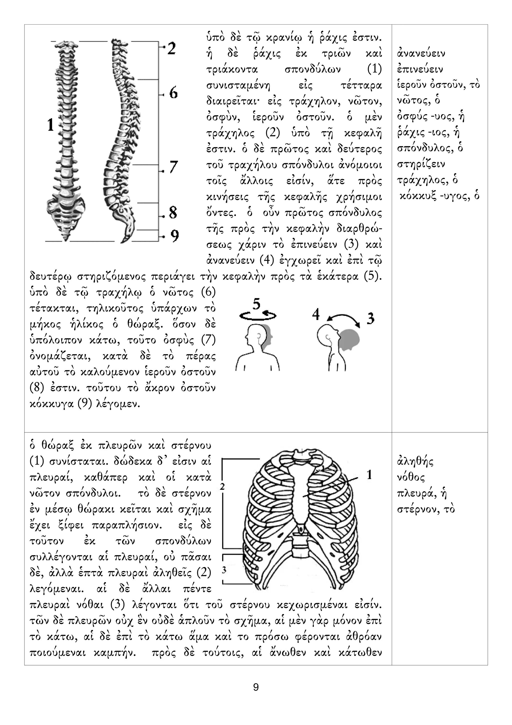 Diccionario en imagenes cuerpo humano (griego) | PDF