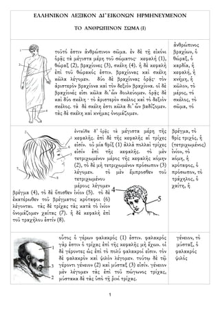 ΕΛΛΗΝΙΚΟΝ ΛΕΞΙΚΟΝ ∆Ι᾿ ΕΙΚΟΝΩΝ HΡΜΗΝΕΥΜΕΝΟΝ

                           ΤΟ ΑΝΘΡΩΠΙΝΟΝ ΣΩΜΑ (I)


                          ...