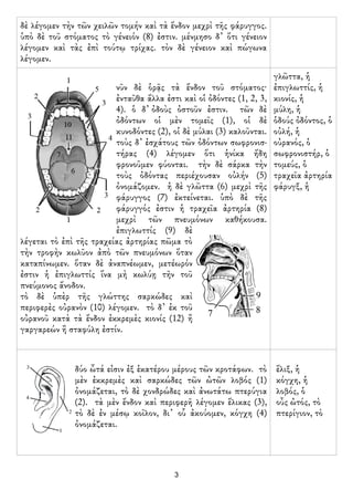 δὲ λέγομεν τὴν τῶν χειλῶν τομήν καὶ τὰ ἔνδον μεχρὶ τῆς φάρυγγος.
ὑπὸ δὲ τοῦ στόματος τὸ γένειόν (8) ἐστιν. μένμησο δ᾿ ὅτι ...