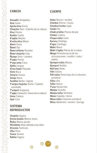 124
CABEZA
Amuqlli: Amígdalas
Ana: Lunar		
Aycha kiru: Encía		
Chujcha: Pelo / Cabello de la cabeza
Kiru: Diente		
Kunka: Cuello		
K’aqlla: Mejilla		
K’uchu kiru: Molar		
Ninri: Oreja		
Ñawi: Ojo 		
Ñawi millma: Pestaña
Ñawi chujcha: Ceja
Ñusqu: Seso / cerebro
P’aqla: Frente		
P’uqu uma: Cana		
Qallu: Lengua		
Q’ara ñawi: Párpado
Simi: Boca		
Simp’a: Trenza		
Sinqa: Nariz		
Sunkha: Barba / bigote
T’ampa chujcha: Greña / Cabello
enredado
T’unquri: Garganta
T’uqlu: Cráneo/Lit. ‘Hueso de la cabeza’
Uma: Cabeza		
Uya: Cara		
SISTEMA
REPRODUCTOR
Chupila: Vagina
Kisma kunka: Matriz, útero
Ñuñu: Mama, pezón
Phichhilu: Pene referido a los niños
Q’uruta: Testículo
Ullu: Pene
Yuma: Semen
Rakha: Vagina
CUERPO
Anku: Nervio / tendón
Chanka: Pierna / muslo
Chanka k’uchu: Ingle
Chaki: Pie 		
Chaki p’allta: Planta del pie
Chaka: Cadera		
Chupa tullu: Coxis		
Kururu: Ombligo		
K’apa: Cartílago		
Maki: Mano		
Maki t’aqlla: Palma de la mano
Muqu: Protuberancia de las
articulaciones / nudillo / codo /
tobillo
Qunquri tullu: Rótula
Qunquri: Rodilla 		
Ruk’ana: Dedo		
Siki: Glúteo		
Siki tullu: Parte baja de la columna
vertebral
Sillu: Uña		
Tullu: Hueso		
T’usu: Pantorrilla 		
Waqta: Costilla		
Waqta tullu: Vértebra
Wasa: Espalda / dorso
Wasa tullu: Columna vertebral
Wisa: Abdomen / vientre / barriga
			
diccionario_quechua_145_230.indd 124 14-01-2019 17:12:50
 