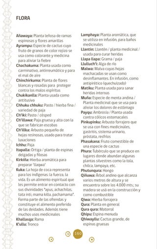 160
FLORA
Añawaya: Planta leñosa de ramas
espinosas y flores amarillas
Ayrampu: Especie de cactus cuyo
fruto de granos de color rojizo se
usa como colorante y medicina
para aliviar la fiebre
Chachakuma: Planta usada como
carminativo, antirreumático y para
el mal de aire
Chinchirkuma: Planta de flores
blancas y rosadas para proteger
contra los malos espíritus
Chukikanlla: Planta usada como
antitusivo			
Chhuku chhuku: Pasto / hierba fina /
variedad de paja
Ch’iki: Pasto / césped
Ch’illawa: Paja gruesa y alta con la
que se fabrican escobas
Ch’illka: Arbusto pequeño de
hojas resinosas, usado para tratar
luxaciones
Ichhu: Paja			
Itapalla: Ortiga / planta de espinas
delgadas y filosas
Kirkiña: Hierba aromática para
preparar ‘llaqwa’		
Kuka: La hoja de coca representa
para los indígenas: la fuerza, la
vida. Es un alimento espiritual que
les permite entrar en contacto con
sus divinidades “apus, achachilas,
tata inti, mama killa, pachamama”.
Forma parte de las ofrendas y
constituye el alimento preferido
de las deidades. Además tiene
muchos usos medicinales
Khallasqa: Rama
K’ullu: Tronco			
Lamphaya: Planta aromática, que
se utiliza en infusión, para baños
medicinales
Llantin: Llantén / planta medicinal /
usada para curar heridas
Llapa llapa: Grama / paja
Llulluch’i: Alga de río
Malwa: Malva cuyas hojas
machacadas se usan como
desinflamantes. En infusión, como
antipirético (quechuizado)
Matiku: Planta usada para sanar
heridas internas
Muña: Especie de menta andina /
Planta medicinal que se usa para
aliviar los dolores de estómago
Payqu: Ambrosía / Planta usada
contra cólicos estomacales
Pinkupinku: Arbusto forrajero que
se usa con fines medicinales,
gastritis, sistema urinario,
próstata, resfríos
Phasakana: Fruto comestible de
una especie de cactus
Phura: Tubérculo que se produce en
lugares donde abundan algunas
plantas silvestres como la tola,
chilca, lampaya, etc.
Phutunqura: Hongo
Qiñuwa: Árbol andino que alcanza
varios metros de altura y se
encuentra sobre los 4.000 mts.; su
madera se usó en la construcción y
como combustible
Qiwa: Hierba forrajera
Qura: Planta en general
Qura qura: Matorral
Qhipu: Espina menuda
Qhiwayllu: Cactus grande, de
espinas gruesas
diccionario_quechua_145_230.indd 160 14-01-2019 17:13:50
 