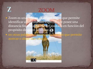  Zoom es una palabra de origen inglés que permite
  identificar al teleobjetivo especial que posee una
  distancia focal que puede ser ajustada en función del
  propósito de quien lo utilice.
 en otras palabras el zoom es la función que permite
  acercar o alejar una imagen.
 