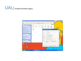 UAL:   Unidad aritmetico-logica.
 