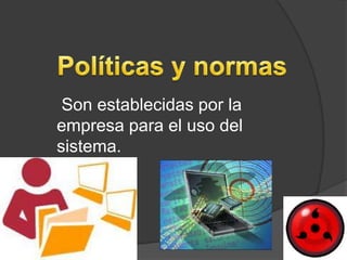 Son establecidas por la
empresa para el uso del
sistema.
 