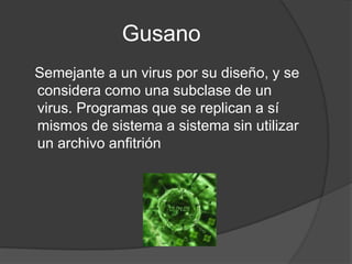 Gusano
Semejante a un virus por su diseño, y se
considera como una subclase de un
virus. Programas que se replican a sí
mismos de sistema a sistema sin utilizar
un archivo anfitrión
 