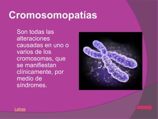 Cromosomopatías
    Son todas las
     alteraciones
     causadas en uno o
     varios de los
     cromosomas, que
     se manifiestan
     clínicamente, por
     medio de
     síndromes.


    Letras
 
