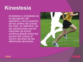 Kinestesia
   kinestesia o cinestesia es
    la percepción del
    equilibrio y de la posición
    de las partes del cuerpo.
    Se trata, en definitiva, de
    las sensaciones que se
    trasmiten de forma
    continua desde todos los
    puntos del cuerpo al
    centro nervioso de las
    aferencias sensorias.




Letras
 