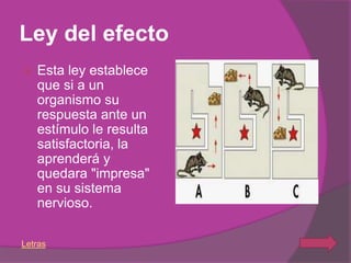 Ley del efecto
   Esta ley establece
    que si a un
    organismo su
    respuesta ante un
    estímulo le resulta
    satisfactoria, la
    aprenderá y
    quedara "impresa"
    en su sistema
    nervioso.

Letras
 
