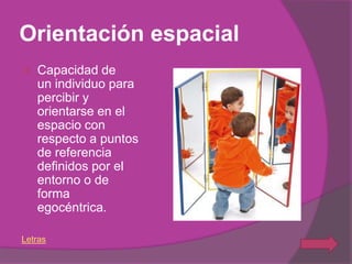 Orientación espacial
   Capacidad de
    un individuo para
    percibir y
    orientarse en el
    espacio con
    respecto a puntos
    de referencia
    definidos por el
    entorno o de
    forma
    egocéntrica.

Letras
 