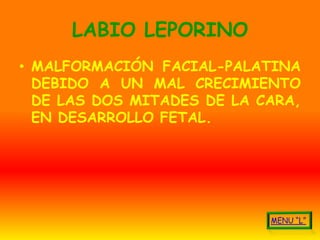LABIO LEPORINO
• MALFORMACIÓN FACIAL-PALATINA
  DEBIDO A UN MAL CRECIMIENTO
  DE LAS DOS MITADES DE LA CARA,
  EN DESARROLLO FETAL.
 