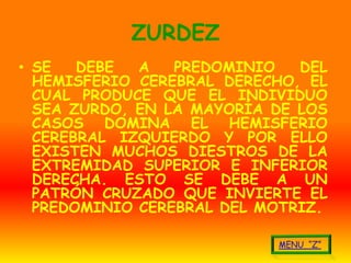 ZURDEZ
• SE   DEBE  A   PREDOMINIO   DEL
  HEMISFERIO CEREBRAL DERECHO, EL
  CUAL PRODUCE QUE EL INDIVIDUO
  SEA ZURDO, EN LA MAYORÍA DE LOS
  CASOS DOMINA EL HEMISFERIO
  CEREBRAL IZQUIERDO Y POR ELLO
  EXISTEN MUCHOS DIESTROS DE LA
  EXTREMIDAD SUPERIOR E INFERIOR
  DERECHA. ESTO SE DEBE A UN
  PATRÓN CRUZADO QUE INVIERTE EL
  PREDOMINIO CEREBRAL DEL MOTRIZ.
 