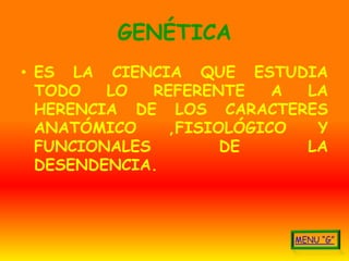 GENÉTICA
• ES LA CIENCIA QUE ESTUDIA
  TODO   LO   REFERENTE   A LA
  HERENCIA DE LOS CARACTERES
  ANATÓMICO    ,FISIOLÓGICO  Y
  FUNCIONALES        DE     LA
  DESENDENCIA.
 