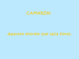 CAMARÓN:  Aparato enorme que saca fotos. 