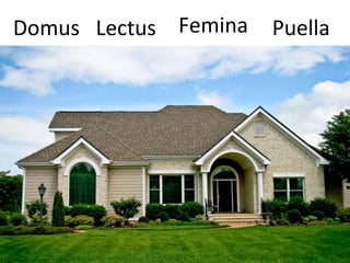 PuellaLectusDomus Femina
 