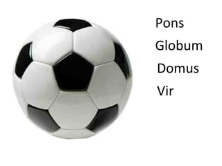 Pons
Globum
Domus
Vir
 