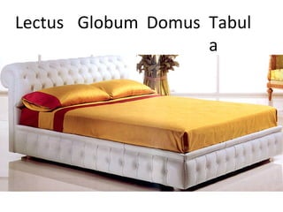 Lectus Globum Domus Tabul
a
 