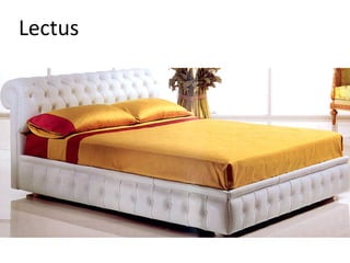 Lectus
 