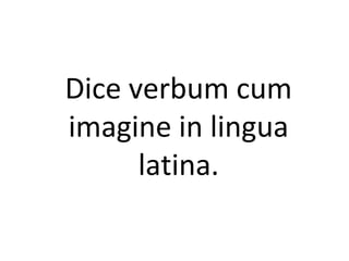 Dice verbum cum
imagine in lingua
latina.
 