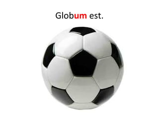 Globum est.
 