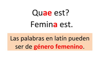 Quae est?
Femina est.
Las palabras en latín pueden
ser de género femenino.
 