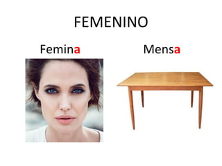 FEMENINO
Femina Mensa
 