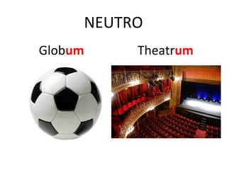 NEUTRO
Globum Theatrum
 