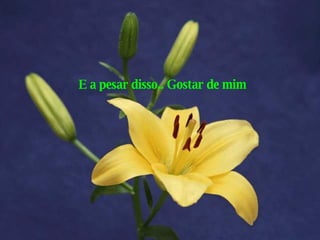 E a pesar disso.. Gostar de mim 