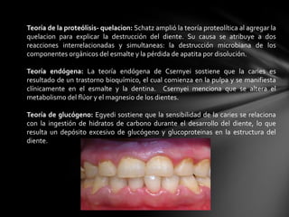 Teoría de la proteólisis- quelacion: Schatz amplió la teoría proteolítica al agregar la
quelacion para explicar la destrucción del diente. Su causa se atribuye a dos
reacciones interrelacionadas y simultaneas: la destrucción microbiana de los
componentes orgánicos del esmalte y la pérdida de apatita por disolución.

Teoría endógena: La teoría endógena de Csernyei sostiene que la caries es
resultado de un trastorno bioquímico, el cual comienza en la pulpa y se manifiesta
clínicamente en el esmalte y la dentina. Csernyei menciona que se altera el
metabolismo del flúor y el magnesio de los dientes.

Teoría de glucógeno: Egyedi sostiene que la sensibilidad de la caries se relaciona
con la ingestión de hidratos de carbono durante el desarrollo del diente, lo que
resulta un depósito excesivo de glucógeno y glucoproteinas en la estructura del
diente.
 