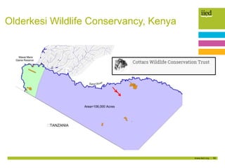 10
Olderkesi Wildlife Conservancy, Kenya
 